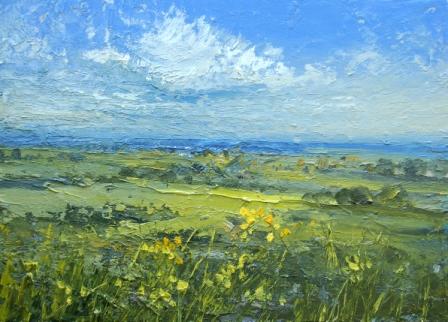 COLIN CARRUTHERS - rape seed